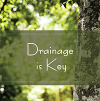 Drainage is Key Drainage is Key